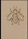 Abeilles beiges